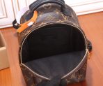 Louis Vuitton Nicolas Ghesquiere Palm Springs Mini Backpack Bags 17*22*10cm - Image 9