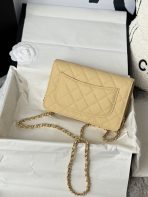 Chanel AP4241 woc Shoulder Bags 19*12*3cm - Image 3