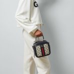 Gucci Ophidia GG Mini Shoulder Bags 17.5*16.5*9.5cm