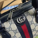 Gucci Ophidia GG Women Shoulder Bags Size 17.5*26.5*14cm - Image 7