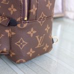 Louis Vuitton M44871 M44873 M44874 Palm Springs Backpack 3 Size - Image 8