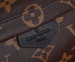 Louis Vuitton Nicolas Ghesquiere Palm Springs Mini Backpack Bags 17*22*10cm - Image 6