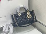 Dior Lady D-Joy Women Shoulder Bags 26*6*14cm - Image 6