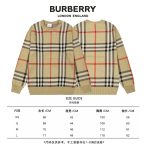 Burberry 2025 New Unisex Sweatshirt Size S-XL - Image 10