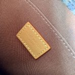 Louis Vuitton M81295 Petit Sac Plat Women Bags Size 17*14*5cm - Image 10