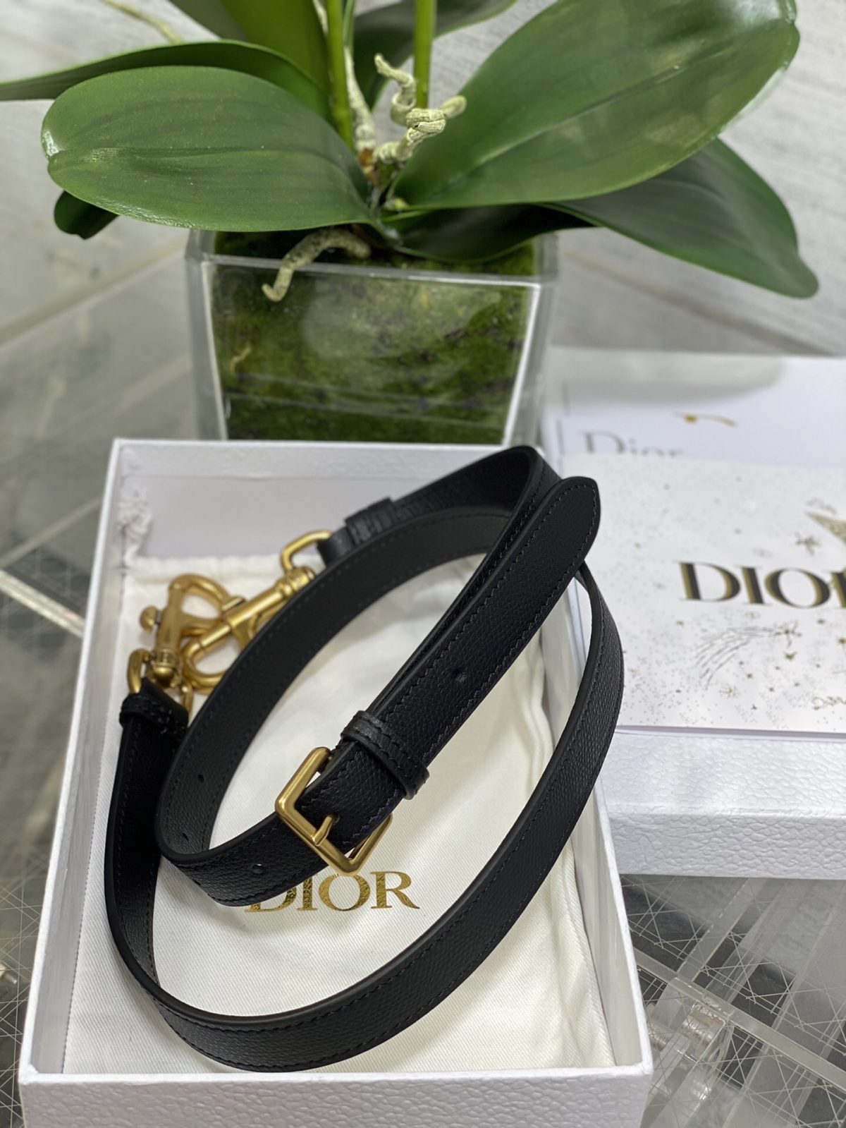 Dior Saddle Bags With Strap for Women Size 25.5*20*6.5cm - Image 9