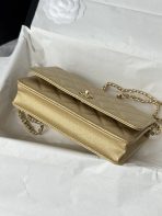 Chanel AP4241 woc Shoulder Bags 19*12*3cm - Image 5