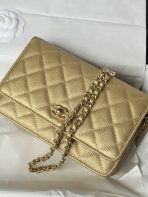 Chanel AP4241 woc Shoulder Bags 19*12*3cm - Image 6