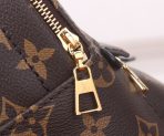 Louis Vuitton Nicolas Ghesquiere Palm Springs Mini Backpack Bags 17*22*10cm - Image 5