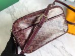 Goyard Cap-Vert Shoulder Bags Size 22.5*13*7cm - Image 5