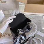 Dior Lady 2022SS Women Shoulder Bags 17cm - Image 9