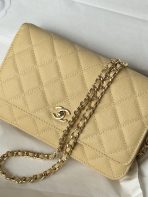 Chanel AP4241 woc Shoulder Bags 19*12*3cm - Image 6