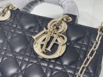 Dior Lady D-Joy Women Shoulder Bags 26*6*14cm - Image 5