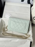 Chanel AP4241 woc Shoulder Bags 19*12*3cm - Image 3