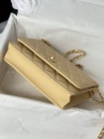 Chanel AP4241 woc Shoulder Bags 19*12*3cm - Image 5