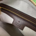 Gucci Ophidaia Women Shoulder Bags Size 20*18.5*10cm - Image 9