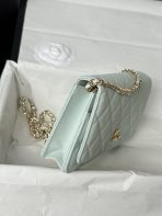 Chanel AP4241 woc Shoulder Bags 19*12*3cm - Image 4