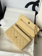 Chanel AP4241 woc Shoulder Bags 19*12*3cm - Image 7