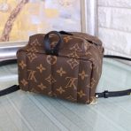 Louis Vuitton M44871 M44873 M44874 Palm Springs Backpack 3 Size - Image 4