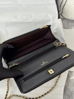 Chanel AP4241 woc Shoulder Bags 19*12*3cm - Image 8