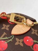 Louis Vuitton M13094 Speedy Bandoulière 20 Women Shoulder Bags Size 20.5*13.5*12cm - Image 5