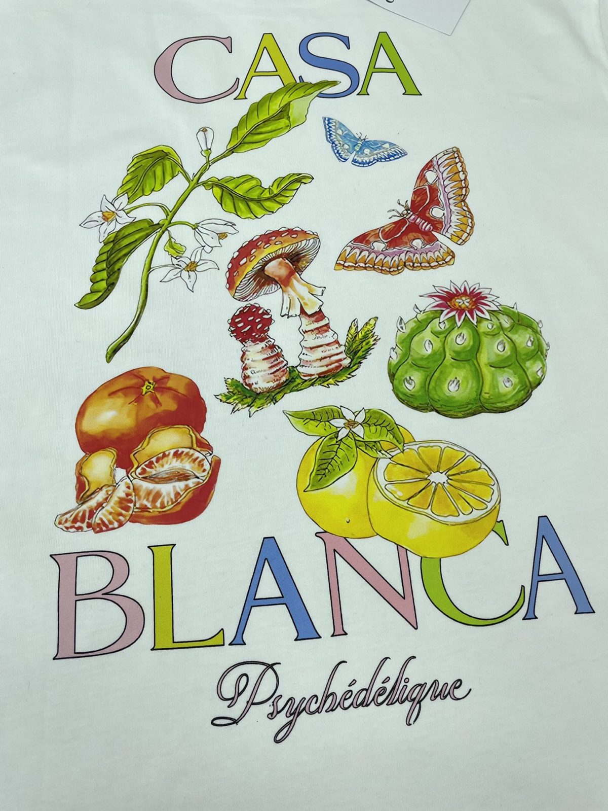 Casablanca T Shirt Size S-XL - Image 6