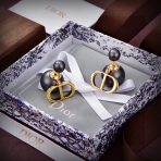 Dior Earrings - Image 3