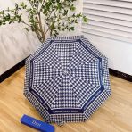 Dior Umbrella