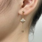 Hermes Earrings - Image 5