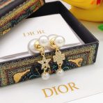 Dior Earrings - Image 5