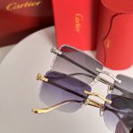 Cartier Sunglasses 6-Color - Image 2