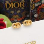 Dior Earrings - Image 4