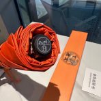 Hermes Umbrella - Image 6