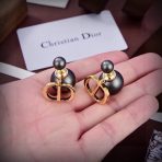 Dior Earrings - Image 5