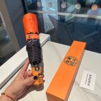Hermes Umbrella - Image 4